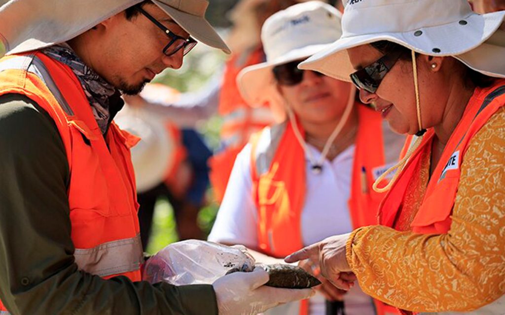 proyecto-zafranal-arequipa