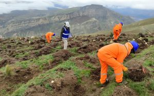 amsac-remediacion-la-oroya