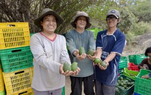 antamina-palta-hass-ancash
