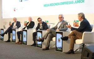 chakana-copper-proexplo2025