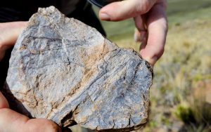 aftermath-silver-puno