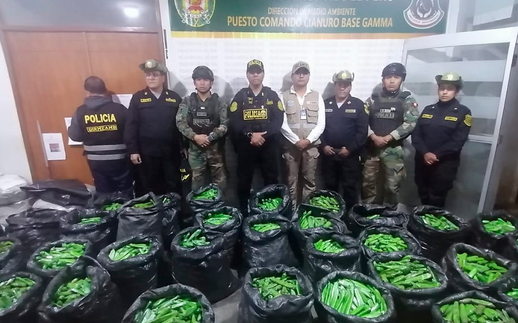 pnp-mineria-ilegal