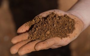 hochschild-tierras-raras