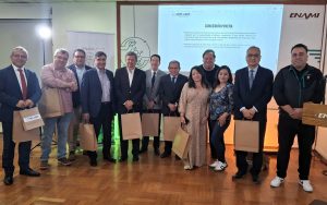 ANPLABEN,-ENAMI-y-SONAMI