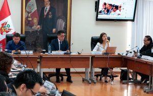 comision-de-energia-y-minas