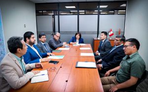 minem-masifficacion-de-gas-natural-puno