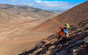 camino-minerals-los-chapitos-nittetsu