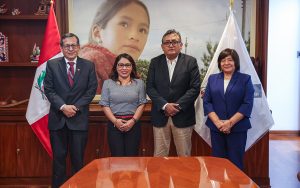 minem-gas-natural-electricidad-ucayali