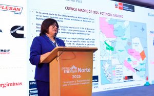 minem-petroleo-gas-natural