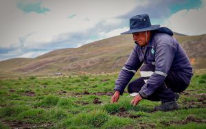 activos-mineros-amsac-remediacion-de-pasivos-mineros