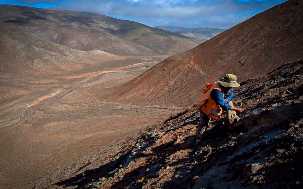 camino-minerals-proyecto-los-chapitos