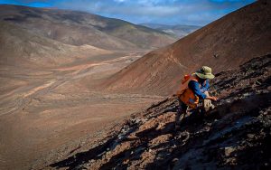 camino-minerals-proyecto-los-chapitos