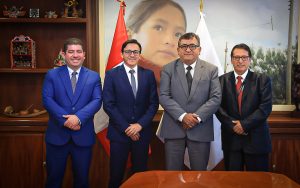 minem-acciones-con-seal-proyectos-electricos