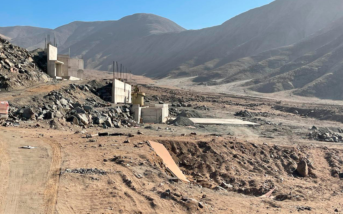 nativo-resources-planta-la-patona