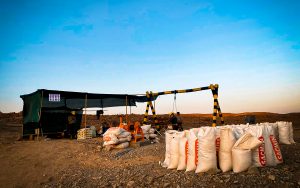 nativo-resources-reinicio-proyecto-bonanza