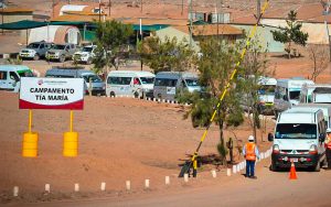 tia-maria-avance-y-eportaciones