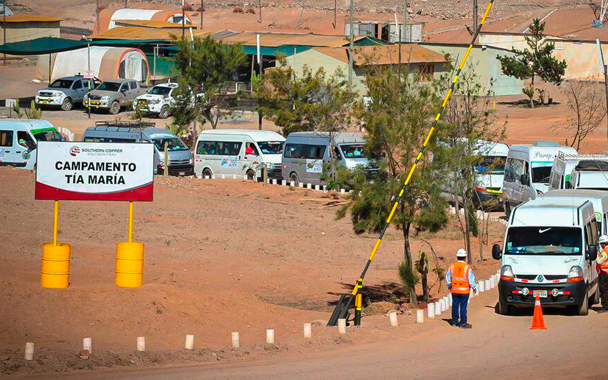 tia-maria-avance-y-eportaciones