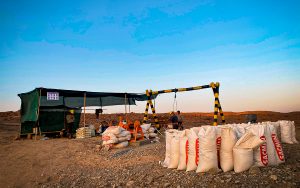 nativo-resources-bonanza-alta-ley-de-oro