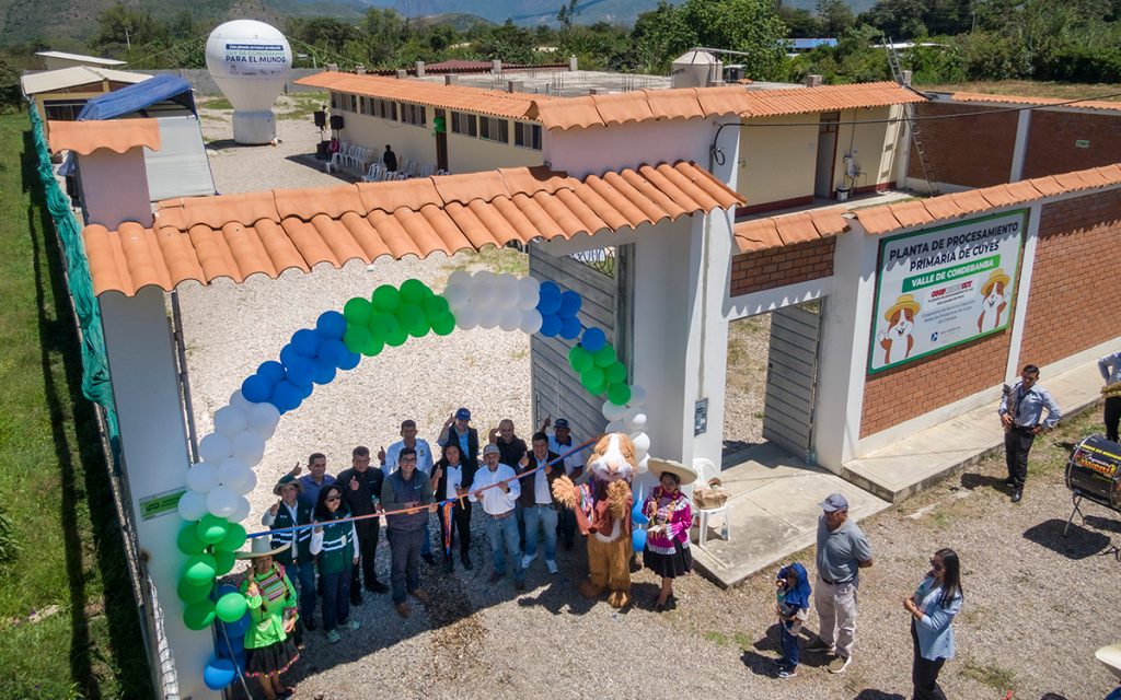 pan-american-Silver-Shahiundo-planta-de-cuyes-cajamarca