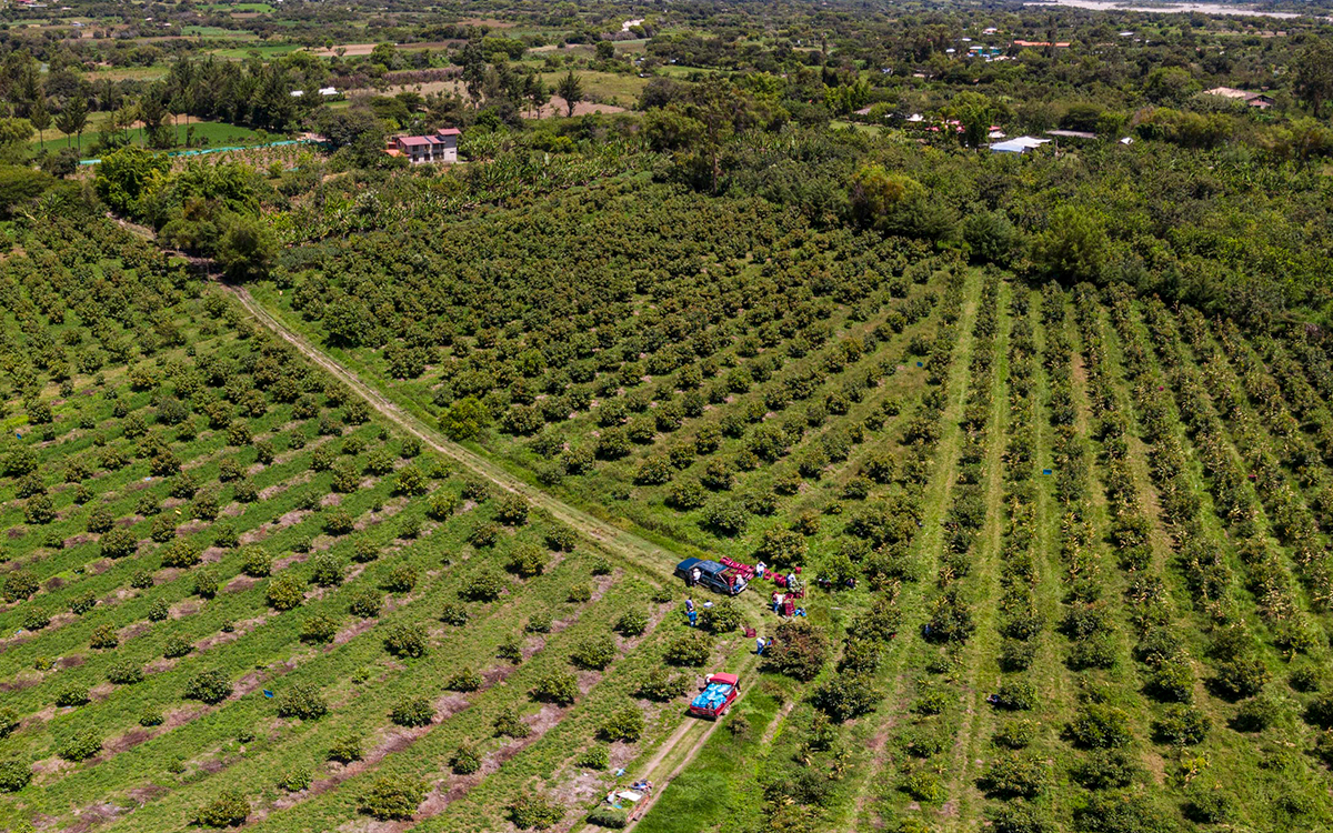 pan-american-silver-shahuindo-cajamarca