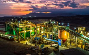 planta-veta-dorada-arequipa