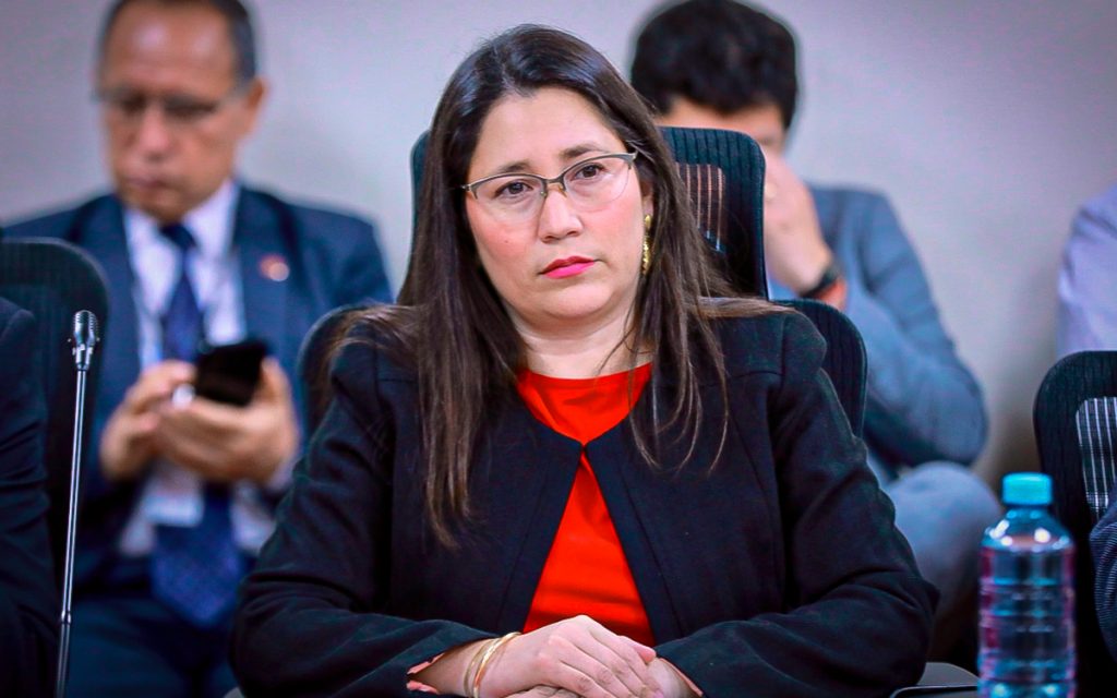 mayra figueroa viceministra de minas minem