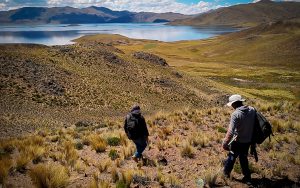 palamina-colt-silver-plata-cobre