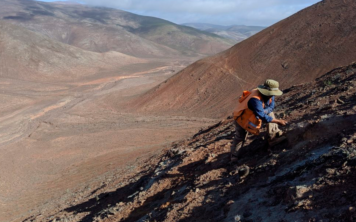 camino-minerals-costa-de-cobre-arequipa