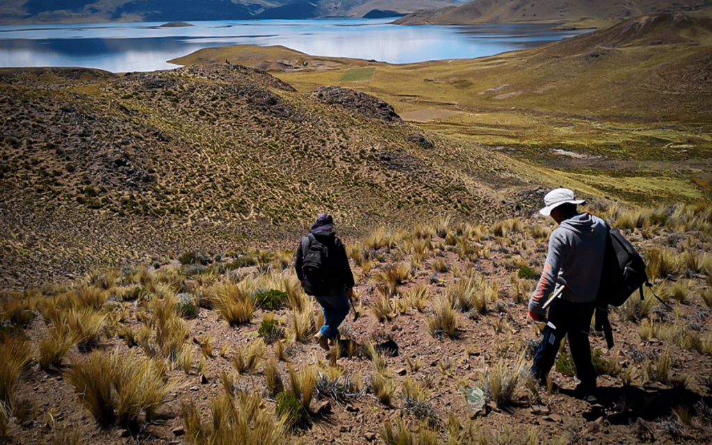 proyecto-galena-palamina-puno