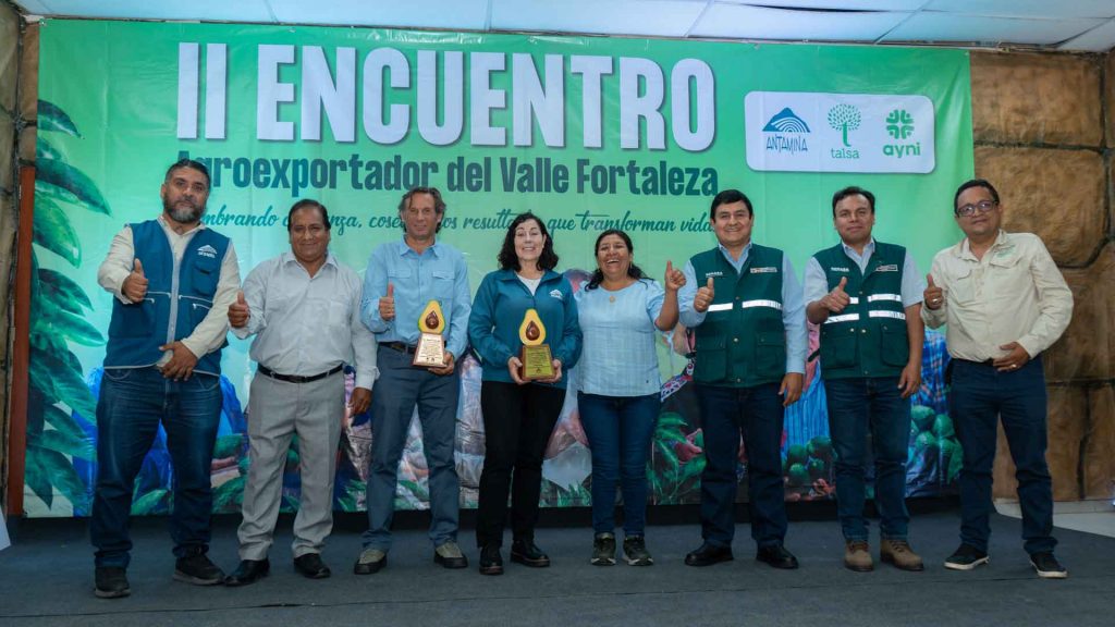 Antamina impulsa la agroexportación de palta Hass en el valle Fortaleza