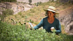 Quellaveco de Anglo American impulsa proyectos agrícolas para agricultores de Moquegua