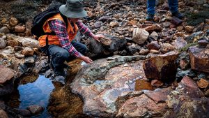 Titiminas Silver confirma mineralización de alta ley en Madre Sierra, Junín